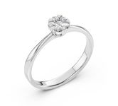 Dimanti Gredzeni 101-10015/1(2.5)