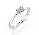 Dimanti Gredzeni 101-10016(3.0)