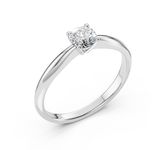 Dimanti Gredzeni 101-10021(5.1)