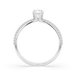 Import Cat Кольца 101-10023