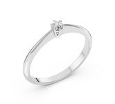 Dimanti Gredzeni 101-10027(3.0)