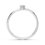 Import Cat Кольца 101-10040(3.0)