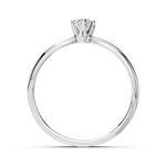 Import Cat Кольца 101-10040(3.7)