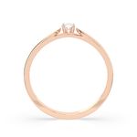 Import Cat Кольца 101-10046(2.7)