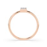 Import Cat Кольца 101-10063