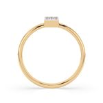 Import Cat Кольца 101-10063