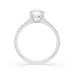 Import Cat Кольца 101-10094(5.7)