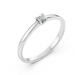 Diamonds Rings 101-10117(3.0)