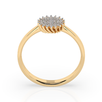 Import Cat Кольца 101-10171