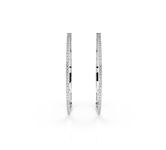 Diamonds Earrings 102-10051