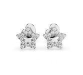 Diamonds Earrings 102-10054