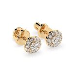 Import Cat Серьги 102-10095(3.1)