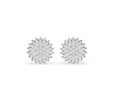 Diamonds Earrings 102-10171