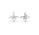 Diamonds Earrings 102-10193V1